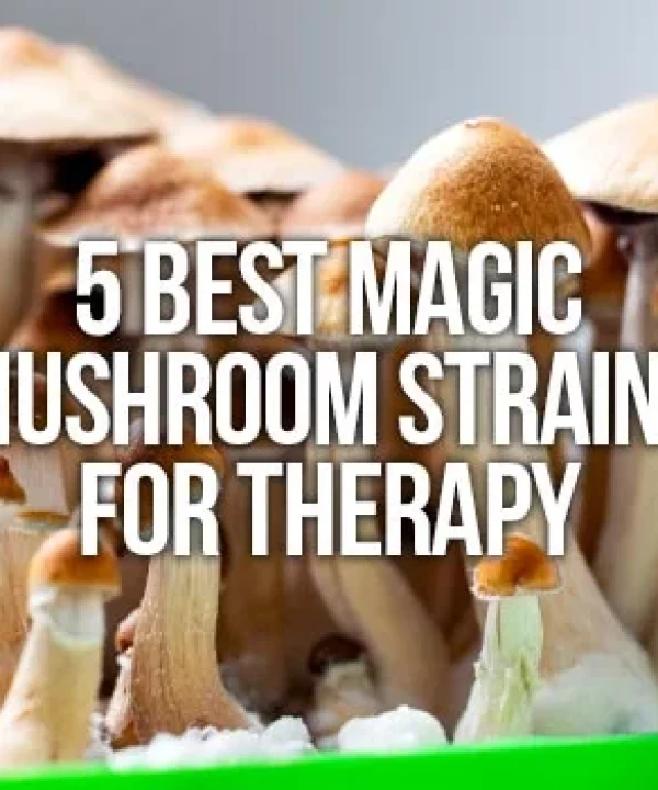 shrooms-for-therapy.jpg